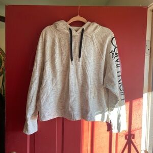 Calvin Klein Light Gray Hoodie with Black Details